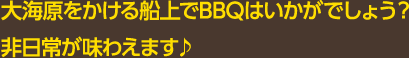 大海原をかける船上でBBQはいかがでしょう？非日常が味わえます♪