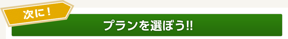 次に！プランを選ぼう！！